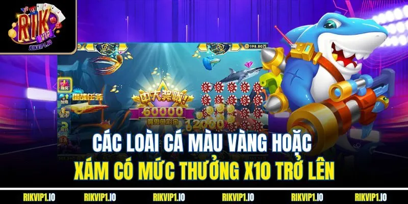 Các loài cá màu vàng hoặc xám có mức thưởng x10 trở lên