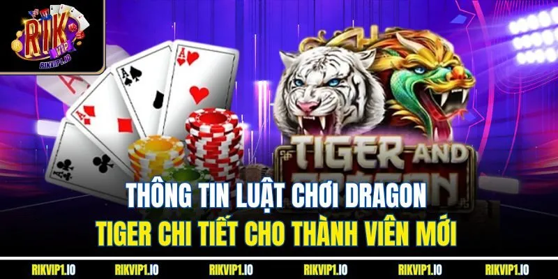 Thông tin luật chơi Dragon Tiger chi tiết cho thành viên mới 